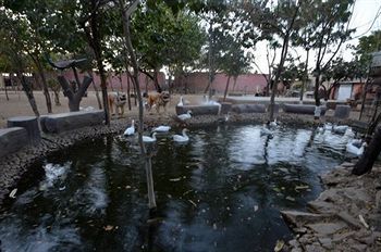 Swad Ri Dhani Ajmer Exterior foto